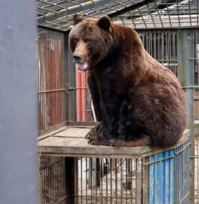 ����� ���������� ������ � ���� ��������� � ������