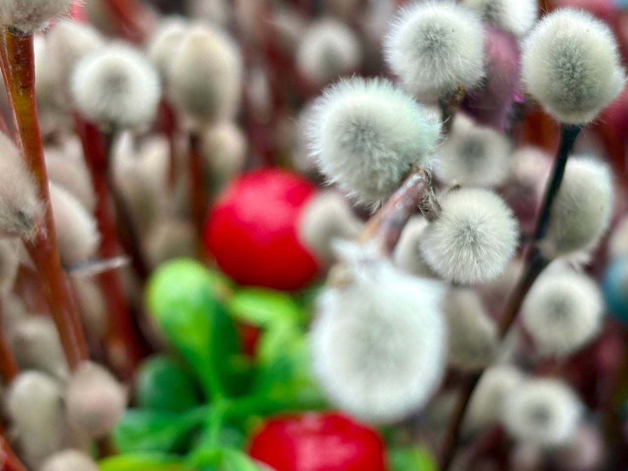 Сегодня, 5 апреля, за неделю до Пасхи, отмечается один из важнейших праздников - Вербное воскресенье, или Вход Господень в Иерусалим Сегодня, 5 апреля, за неделю до Пасхи, отмечается один из важнейших праздников - Вербное воскресенье, или Вход Господень в Иерусалим