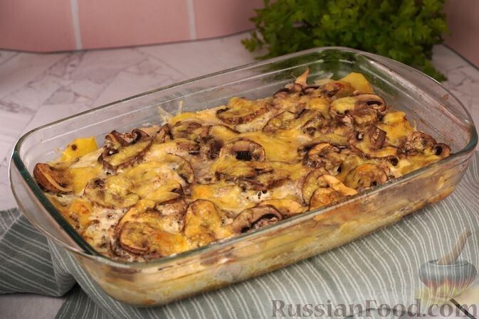 ������ ����� �� ����� ����: ����� ������� ��� ��������