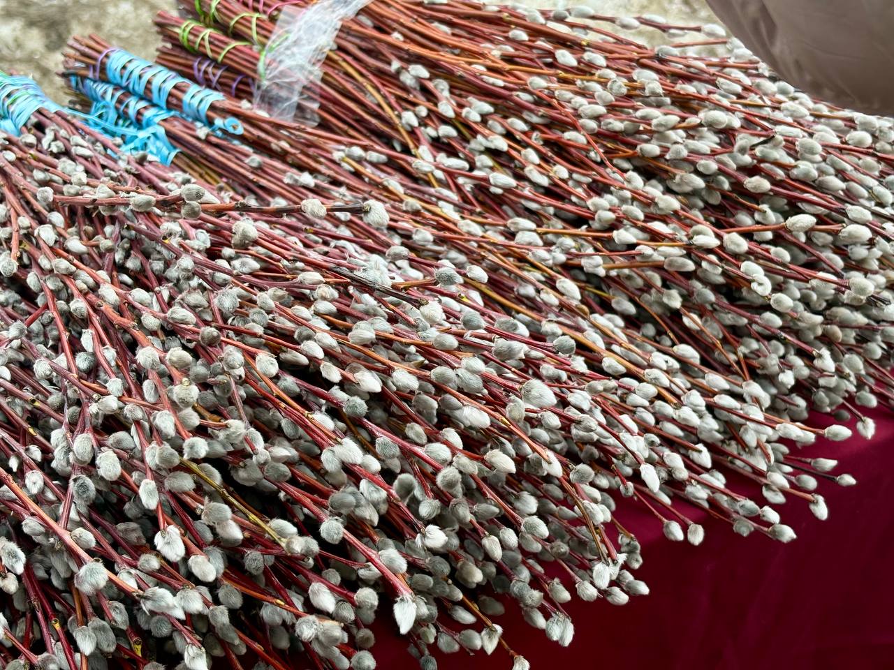 Сегодня, 5 апреля, за неделю до Пасхи, отмечается один из важнейших праздников - Вербное воскресенье, или Вход Господень в Иерусалим Сегодня, 5 апреля, за неделю до Пасхи, отмечается один из важнейших праздников - Вербное воскресенье, или Вход Господень в Иерусалим