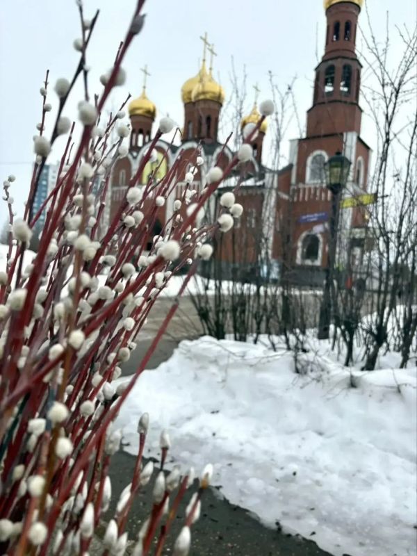 ������� �������: ��������� ������������� �������� ���������� � ������� ������������ � ������� ����������, ������� ������������� ��������� �����, ����� � �������