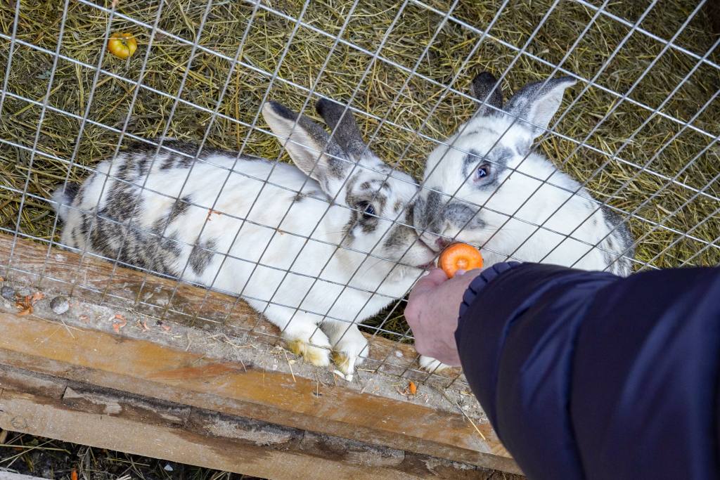 Самый знаменитый Степан в Югре готовится к юбилею Самый знаменитый Степан в Югре готовится к юбилею