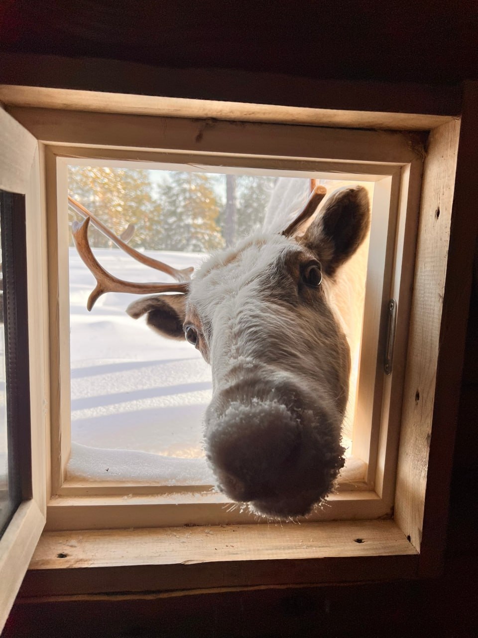 Туристы со всей России посещают стойбище Сопочиных в Югре Туристы со всей России посещают стойбище Сопочиных в Югре
