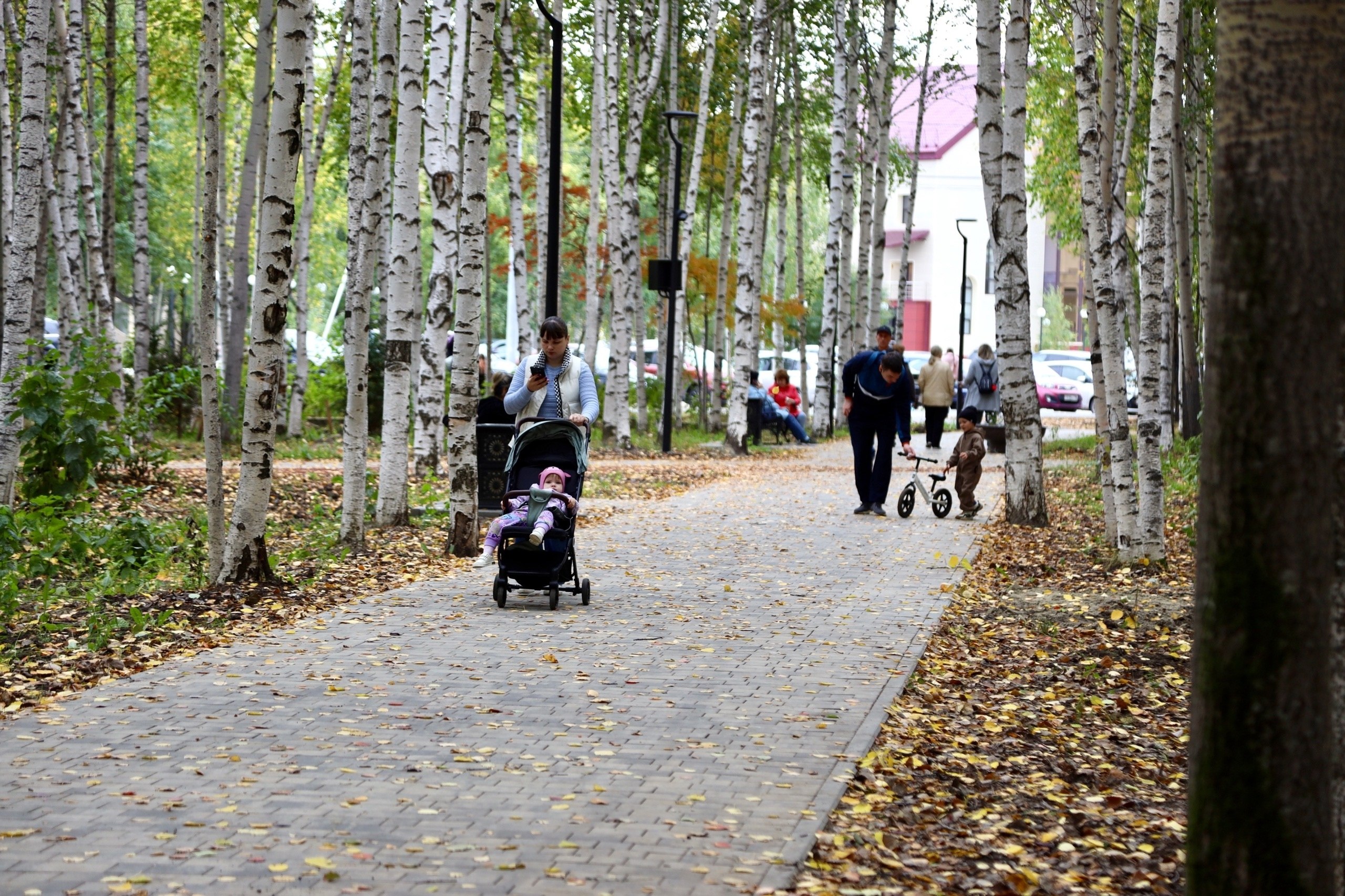 Опрос о размещении нестационарных торговых объектов (НТО)