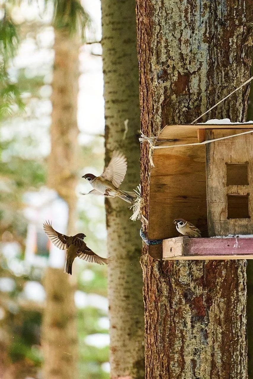 Доброе утро!. Начинается новая апрельская неделя, и в воздухе северного края уже чувствуется весна Доброе утро!. Начинается новая апрельская неделя, и в воздухе северного края уже чувствуется весна