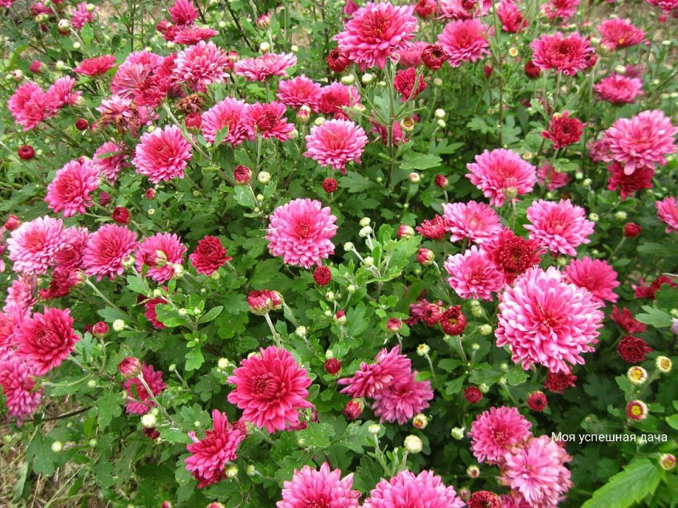 ����������: ������� �������� ��������� � ������ ��������� ��� ������������� ��������