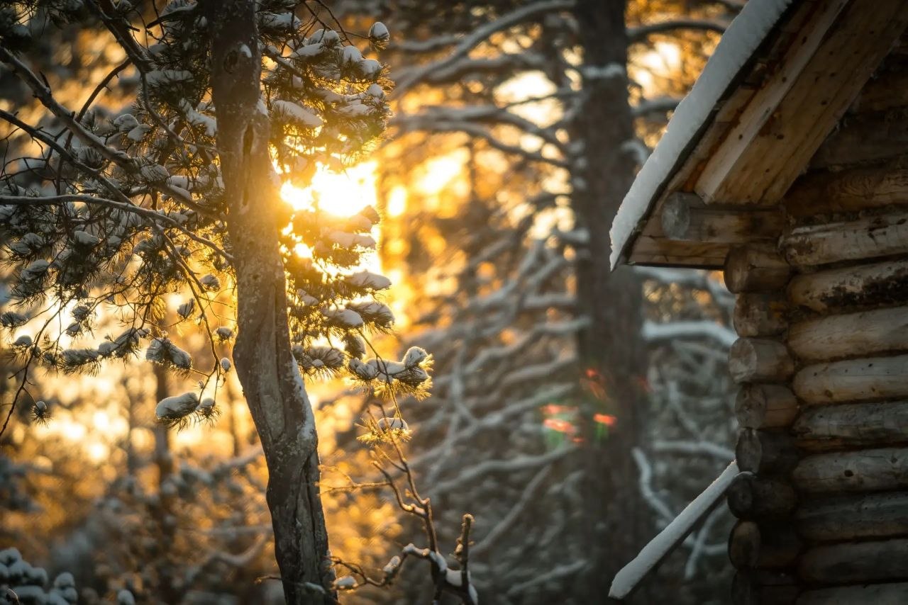 Доброе утро!. Начинается новая апрельская неделя, и в воздухе северного края уже чувствуется весна