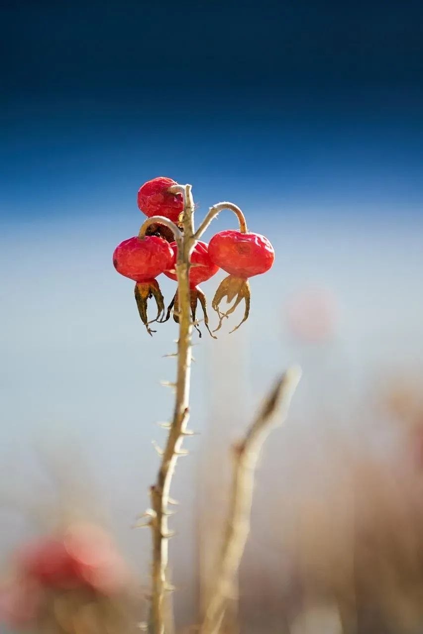 Доброе утро!. Начинается новая апрельская неделя, и в воздухе северного края уже чувствуется весна Доброе утро!. Начинается новая апрельская неделя, и в воздухе северного края уже чувствуется весна
