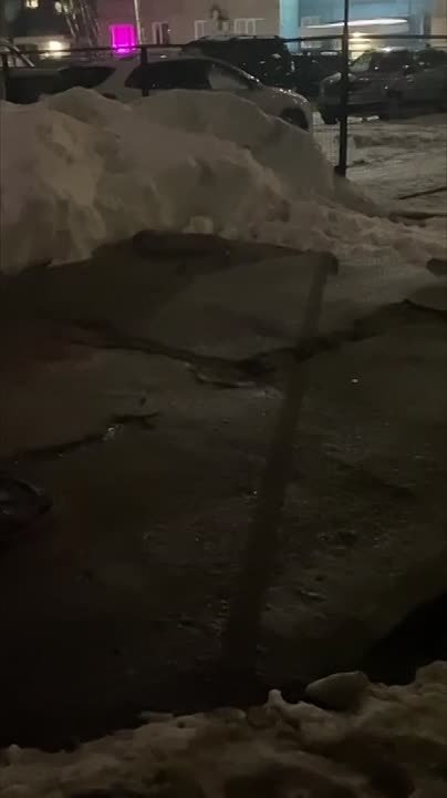 Крысиное царство в 11 микрорайоне