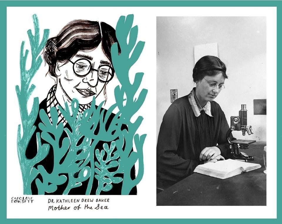 ����� ����: ���� ������ ���-������ � �������� �������� ���������� ��������