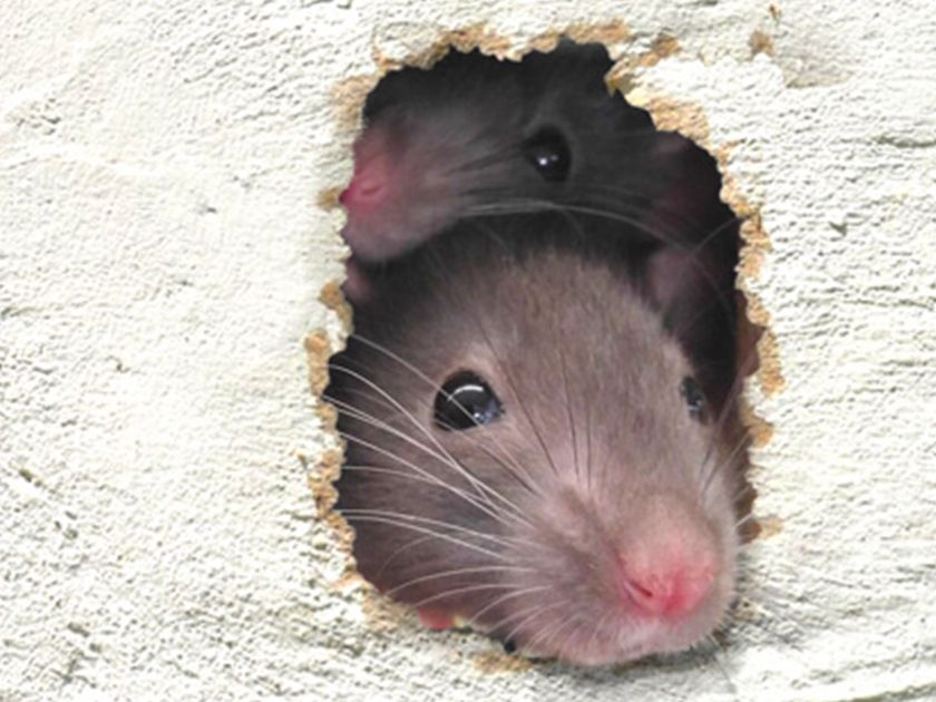 ��� �������� ���������� ��� �� �����: ������������ ������ � ��������