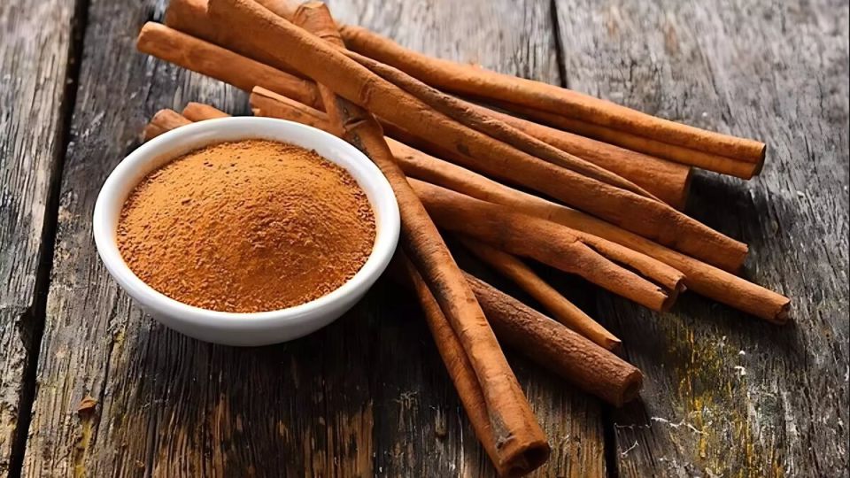 ������: ����������� ������� � ������ � ������������