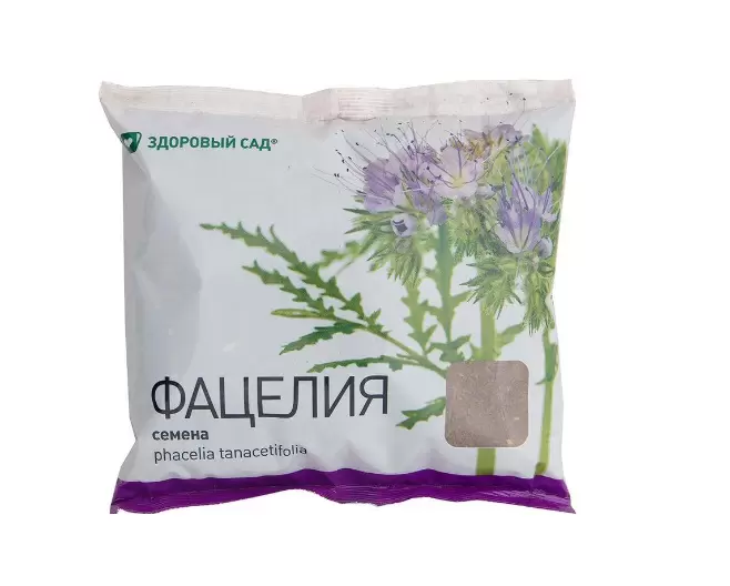 Сидераты на грядках: стоит ли попробовать фацелию?