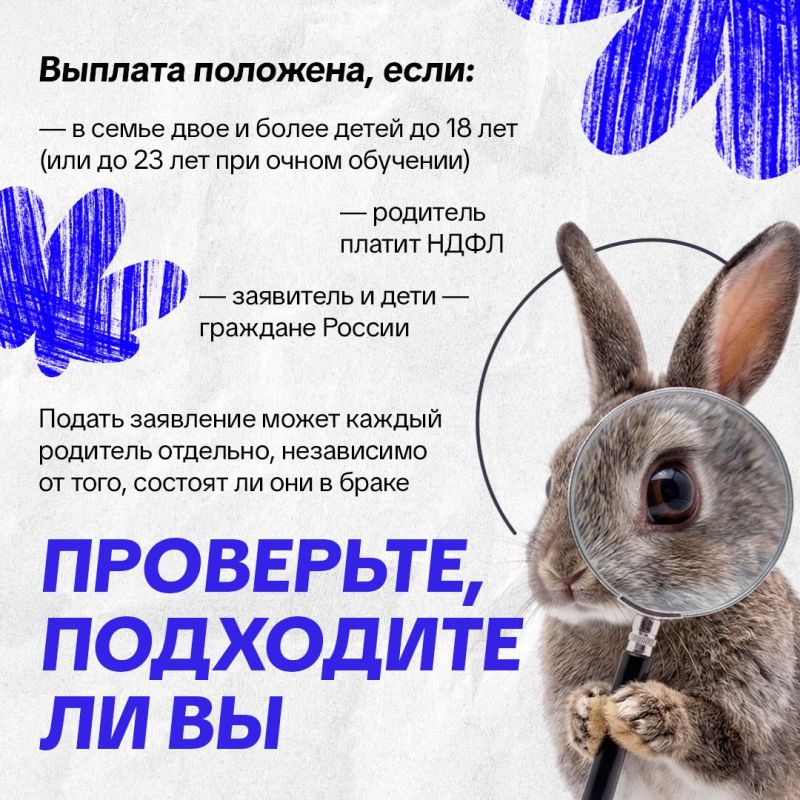 ���� ������������ ���������� ���������