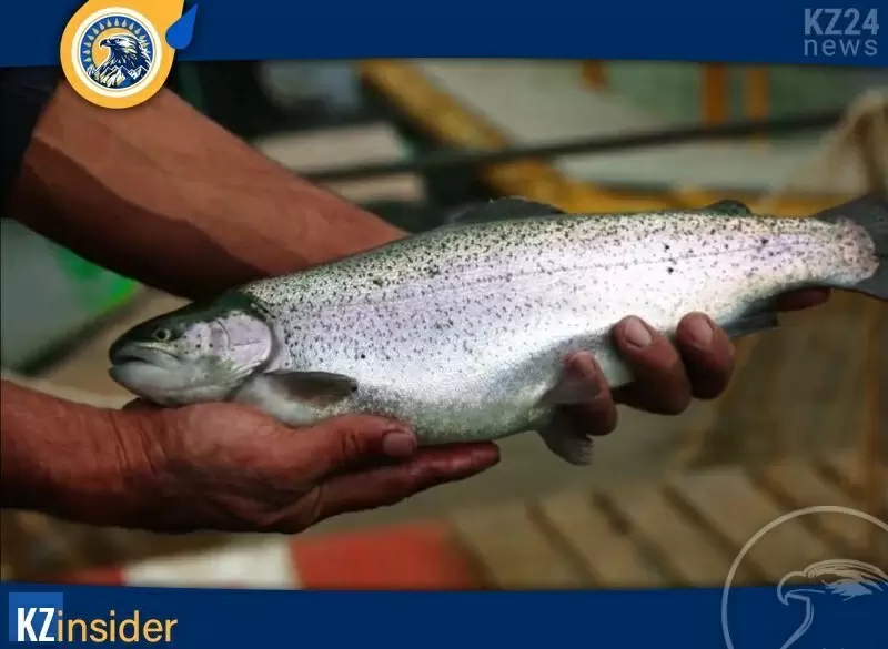 Казахстанская форель завоевала внимание на международной выставке аквакультуры в Турции
