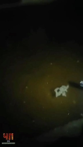 ���-����� �������� �� ������, 40