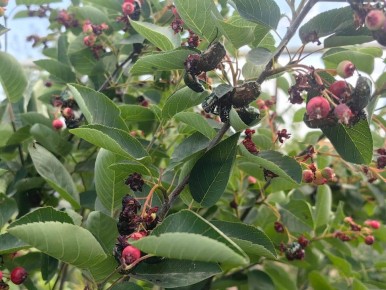 ��������� ����������: ��� ���������� � ������ �� �������