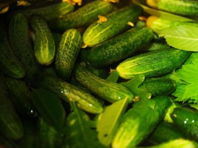 ������� ��������� ����������� �������: �� ��������-�������� �� ��������