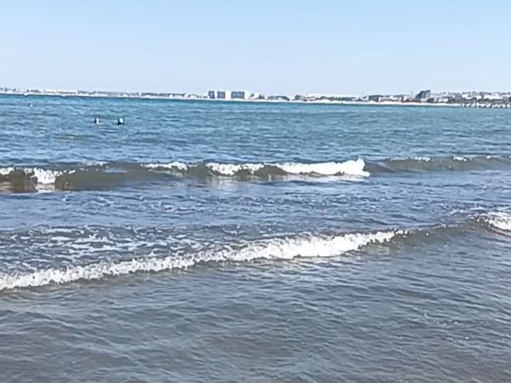 ������ �������: ��� �������� ������� ����� � ����