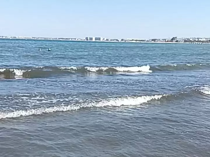 Летние радости: как готовить вкусные блюда в жару