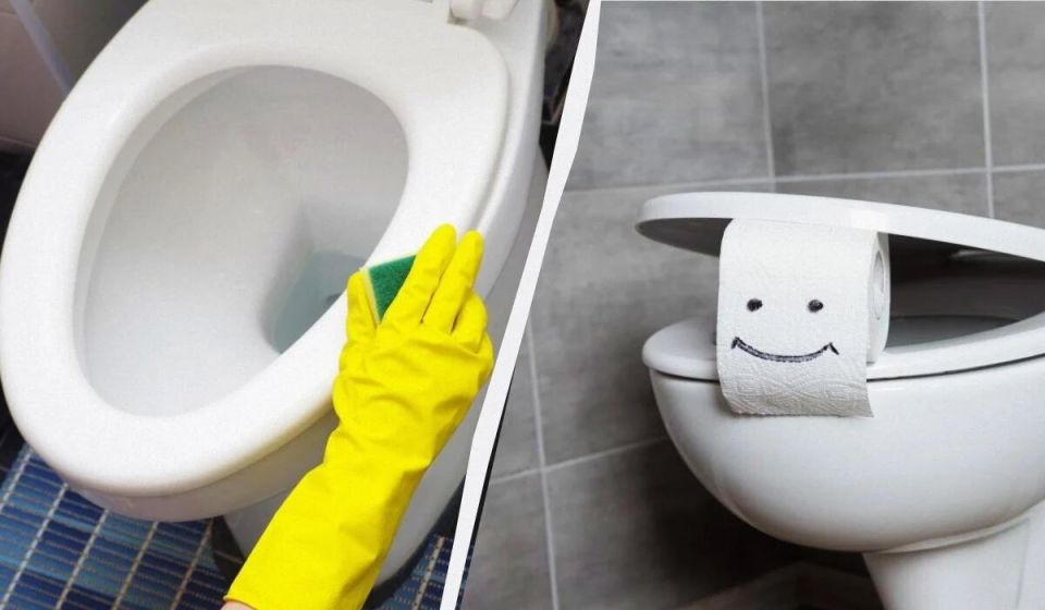 ��� ����� ���������� �� ������������ ������ � �������: ������� ������� �������