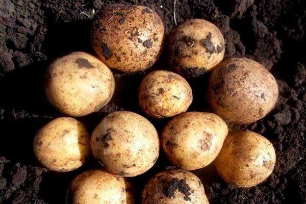 ��������� ������: ������� ��������� ������ � ��� ������������