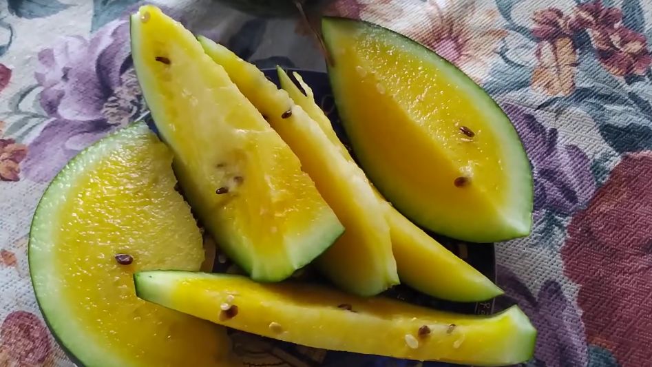 ��� ��������� ������� ������ �����: ������� ������ �� ���������� �� �������