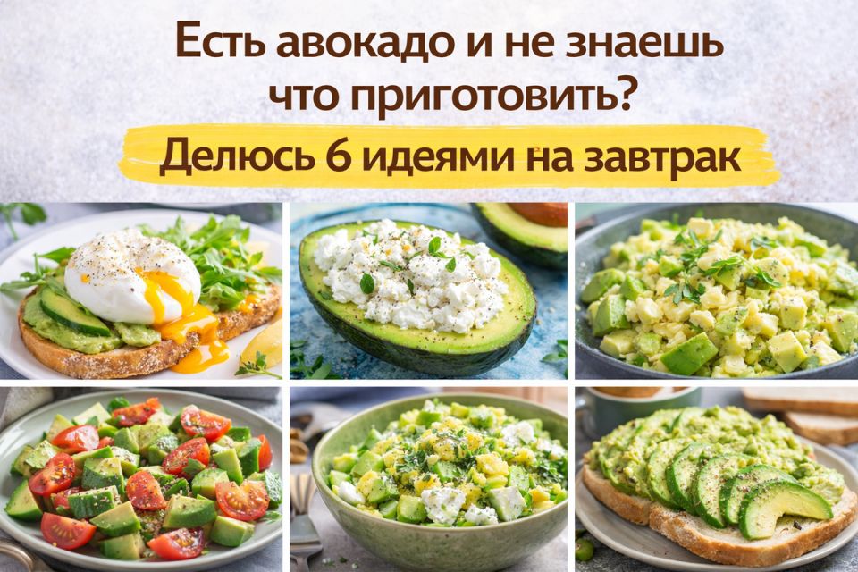 ������� �������� ��������: 6 ���� � �������