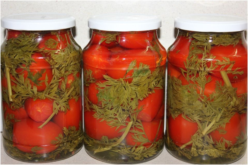 ������ ����������: ������������ �������� � ��������� ������