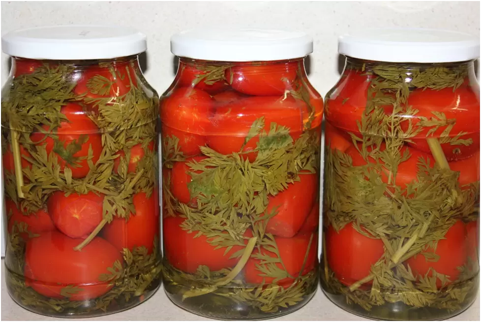 Зимние деликатесы: маринованные помидоры с морковной ботвой