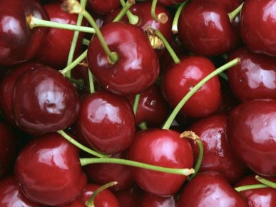 Вишня: полезные свойства и скрытые опасности красной ягоды