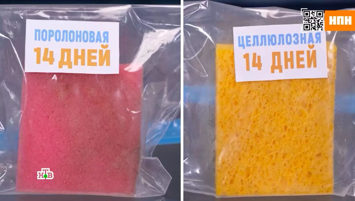 Целлюлозные vs. поролоновые губки: что выбрать для идеальной чистоты?