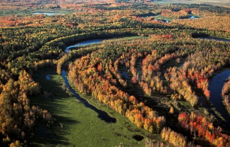 ������ ��������� �������� �������� ������� � ����������, ������ ��� ��� ������� ����� �����