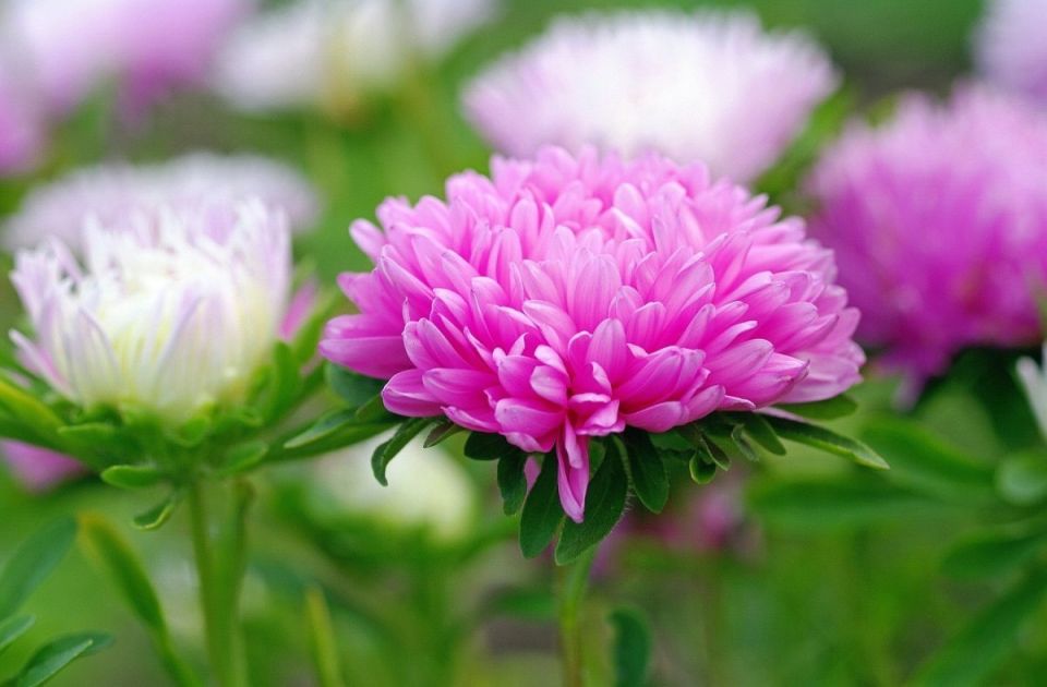 �����: ������� ���������� � ����� ����