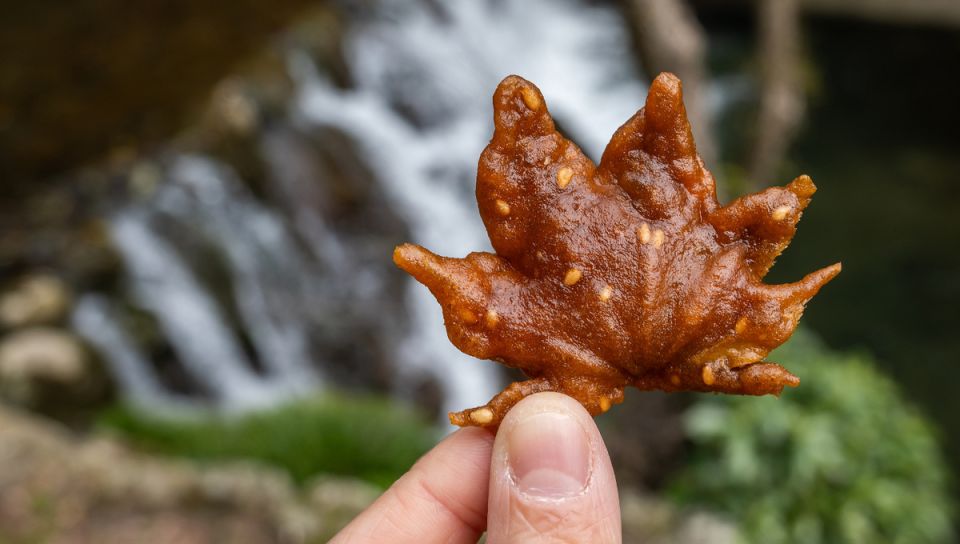 ���������� ������� ����: ����� ��������� � ������������ �������������