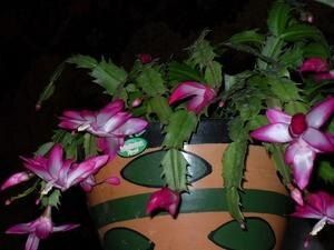 ������ ��������� ������ ������ � �� ������ ���������?