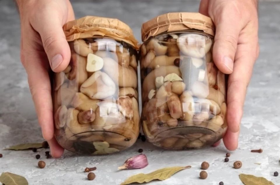 ��� ������������ ���������������� �����: 10 ������� � ������� ��������