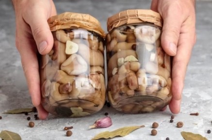 Как использовать консервированные грибы: 10 простых и вкусных рецептов