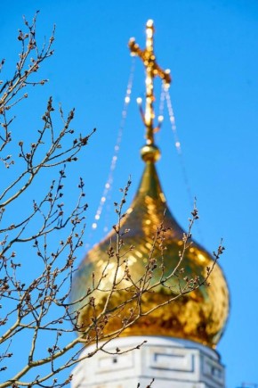 Вне зависимости от того, о чем вы мечтаете — начинайте над этим работать! И тогда в вашей жизни начнут происходить самые настоящие чудеса!