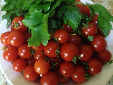 ������ ������ � ��������� ��������