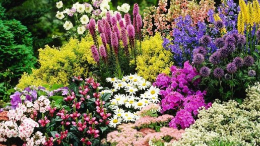 ������������� ����������� �������� ��� ������ ����