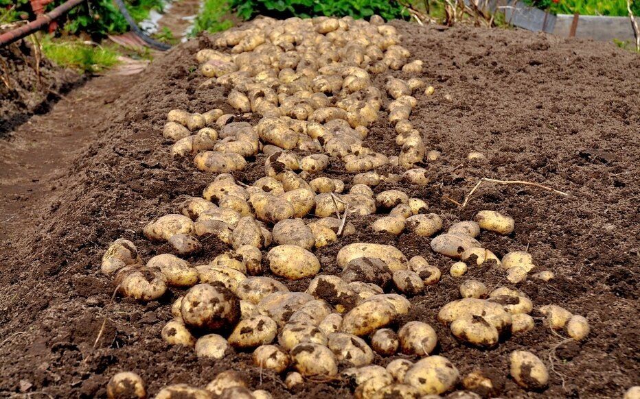 ������� �������� ������: ��� ����������� ������� ��� �������� �� ������������� ��������