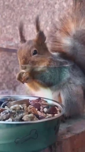 Сегодня отмечается светлый праздник — Православная Пасха!