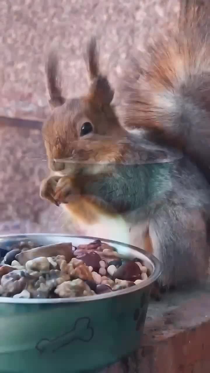 Сегодня отмечается светлый праздник — Православная Пасха!