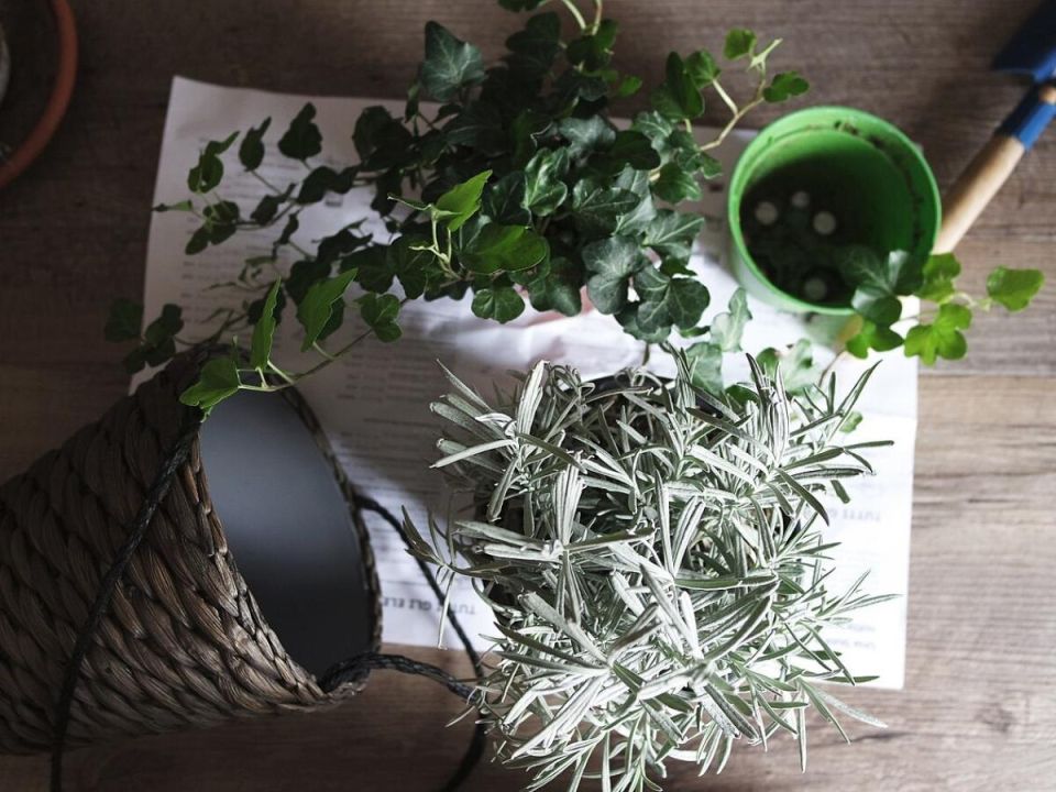 ������� �� ��������� ���������: ��� �������� ������ �������� � ��������� �������� � ����