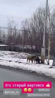 ��������� ����������� �� ������� ���������