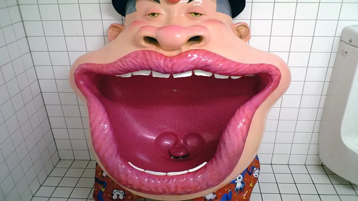 Смех и недоумение: самые странные туалеты, которые удивляют