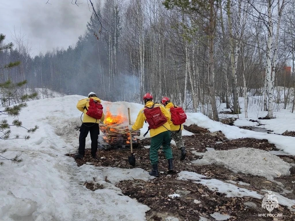 В Сургутском гарнизоне прошла тренировка по тушению лесного пожара В Сургутском гарнизоне прошла тренировка по тушению лесного пожара