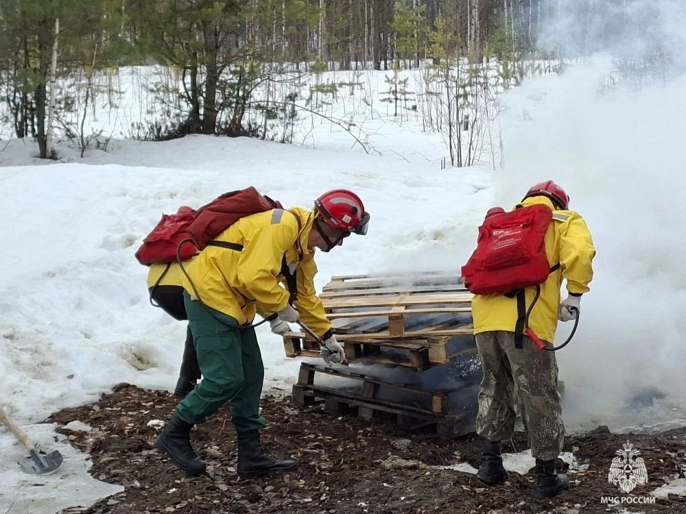 В Сургутском гарнизоне прошла тренировка по тушению лесного пожара В Сургутском гарнизоне прошла тренировка по тушению лесного пожара