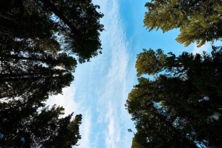 ���� ������ ���� �� ������ ����������� � ������ � ���, ��� ������� ����������� ���������� ���-�� �������, ��� � �����!